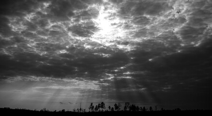 Cloudy Landscape in Black and White