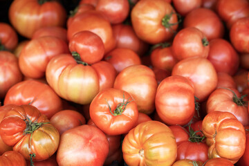 Many different ripe beautiful tomatoes background texture. Fruit natural background. Healthy food.