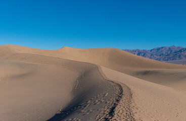 Fototapeta na wymiar Mesquite Flats Sand Dunes in Death Valley National Park, California