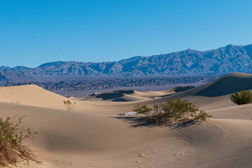 Mesquite Flats Sand Dunes in Death Valley National Park, California