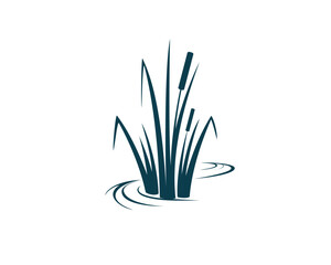 cattail vector