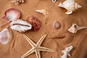Fototapeta na wymiar Summer time concept Flat lay composition with beautiful starfish and sea shells