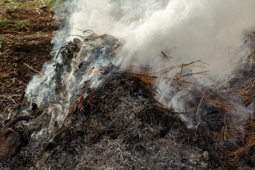 smoky burn pile