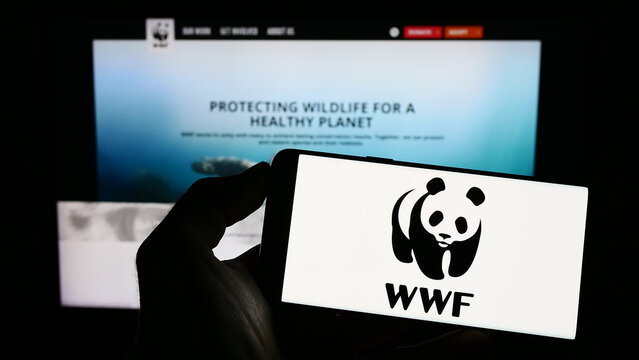 Stuttgart, Germany - 01-26-2023: Person holding cellphone with logo of World Wide Fund for Nature Inc. (WWF) on screen in front of webpage. Focus on phone display.