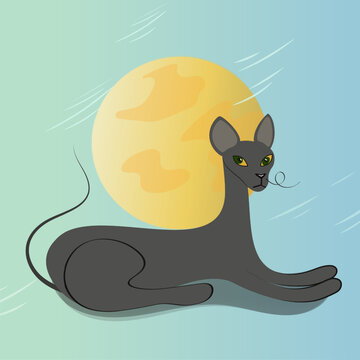 Black cat under the moon. A graceful cat sits in front of the moon in nature. Proud sphinx vector illustration.