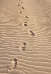 Fototapeta na wymiar footprints in sand 