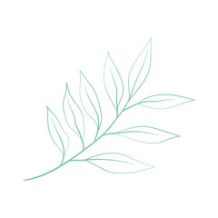 Isolated summer leaf sketch icon Vector illustration