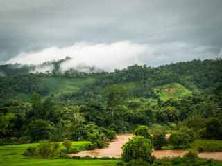 Front view of a mountain view with dense fog After several days of continuous rain, it was cold and wet. During the rainy season of the year in "Chiang Dao, Chiang Mai" Thailand