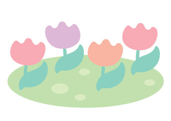 Fototapeta premium 並んで咲くチューリップ