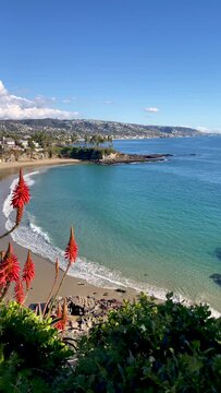 Vantage framed by orange aloe blooms overlooking the Laguna Beach coastline