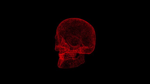 3D human skull rotates on black background. Object dissolved red flickering particles 60 FPS. Science concept. Abstract bg for title, presentation. Holographic screensaver. 3D animation.