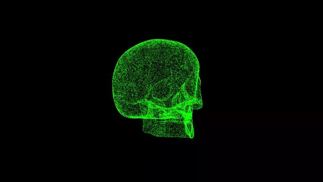 3D human skull rotates on black background. Object dissolved green flickering particles 60 FPS. Science concept. Abstract bg for title, presentation. Holographic screensaver. 3D animation.