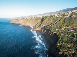 Aerial view of banana trees growing at field on a cliff next to the sea in Tenerife, Canary Islands