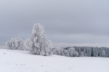 Winterlandschaft