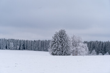 Winterlandschaft
