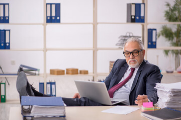 Old male boss working in the office