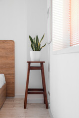 Wooden table with houseplant in light bedroom