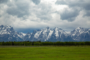 Fototapeta premium Grand Teton National Park