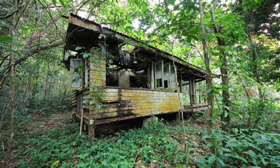An abandoned house in the tropical rainforest. 
