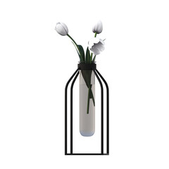 decorative flowers and plants for the interior,  isolated on transparent background, 3D illustration, cg render