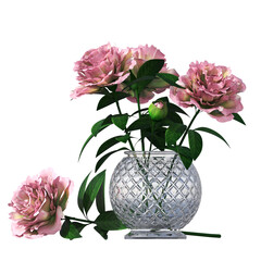 decorative flowers and plants for the interior,  isolated on transparent background, 3D illustration, cg render