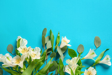 Beautiful alstroemeria flowers and eucalyptus branches on color background