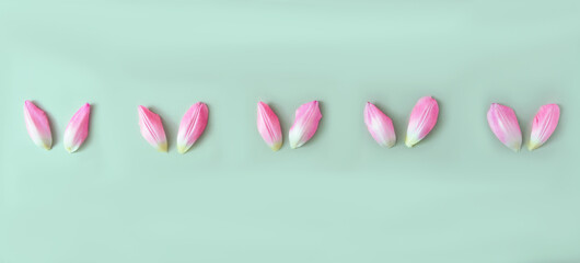 Pink tulip petals aligned on green background. Minimal creative concept for Easter celebration banner or card. Surreal design.