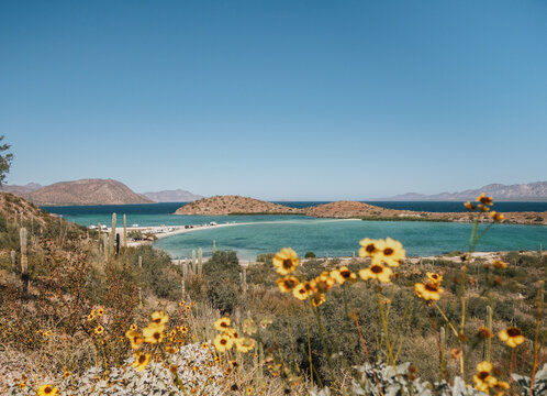 Turquoise water beach with Rv in Bah&iacute;a Concepci&oacute;n, Loreto, Baja California, Mexico