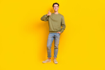 Full length photo of positive cheerful person hand finger demonstrate thumb up isolated on yellow color background