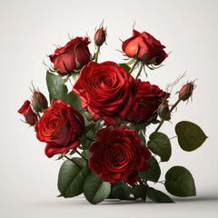 bouquet of red roses with sprigs of gypsophila for Sint Valentin, lovers' day