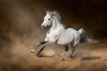 Fototapeta na wymiar horse running