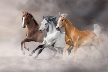 Fototapeta na wymiar Horse herd run in desert