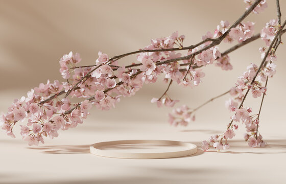 3D background, beige podium display. Sakura pink flower tree branch. Cosmetic or beauty product promotion step floral pedestal. Abstract minimal advertise. 3D render copy space spring mockup.