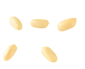 roasted peanuts isolated isolated on white background.