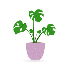 Houseplant monstera illustration in flat style. Green indoor flower for Home and office interior decoration . Fresh green monstera deliciosa in pot. Vector illustration