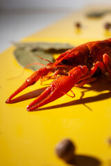 lobster on the market