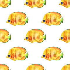 Fototapeta premium fish pattern watercolor. watercolor cute fish pattern. Watercolor cute animal. Watercolor cute fish. Hand painting isolated white background. fish