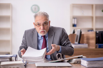 Old male boss employee working in the office