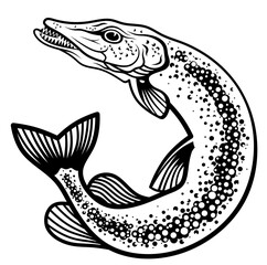 Pike. Isolated predatory fish. Fisherman logo. Fishing.