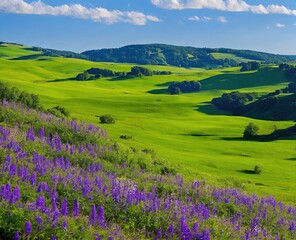 Fototapeta na wymiar landscape with beautiful green hills, tuscany, italy
