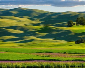 Fototapeta premium landscape with beautiful green hills, tuscany, italy