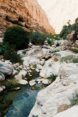 oasis in the desert canyon