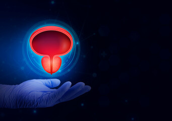 Bladder and prostate gland in the doctor's hand, HTA. Prostate cancer, bladder cancer, men's health care. Modern digital medicine in urology. Blue digital technology. Isolated - obrazy, fototapety, plakaty