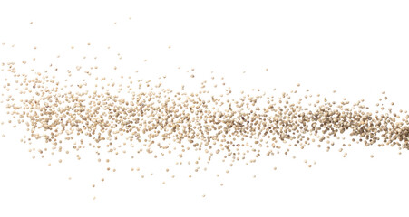 White Pepper seeds fall down pour in group, white Pepper float explode, abstract cloud fly. Peppercorn splash throwing in Air. White background Isolated high speed shutter, freeze motion