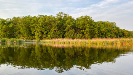Fototapeta na wymiar spring reflection of trees in the lake