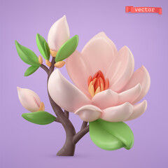 Magnolia, spring flower. 3d cartoon vector icon