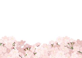 桜のフレーム