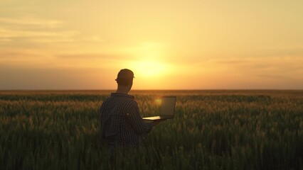 Farmer works in field at sunset with laptop. Agronomist in field. Modern concept of agricultural business. Farmer businessman with computer works in wheat field, analyzes harvest. Farmer growing grain