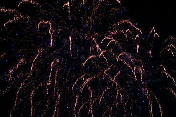 Huge fireworks explosions with Violet and golden colors over a party in the park. In front of the black night sky. 4th July fireworks. Fireworks display on dark sky background.