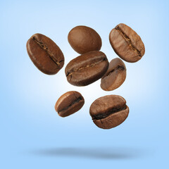 Many roasted coffee beans falling on pale light blue background